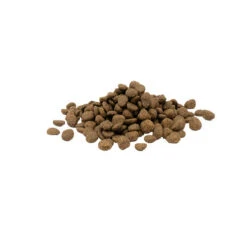 Versele-Laga Opti Life Sensitive 12 Versele-Laga Opti Life Sensitive -Almo nature Winkle versele laga opti life sensitive 199883 0500 none