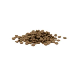 Versele-Laga Opti Life Urinary Kat 10 Versele-Laga Opti Life Urinary Kat -Almo nature Winkle versele laga opti life urinary kat 200000 0500 none